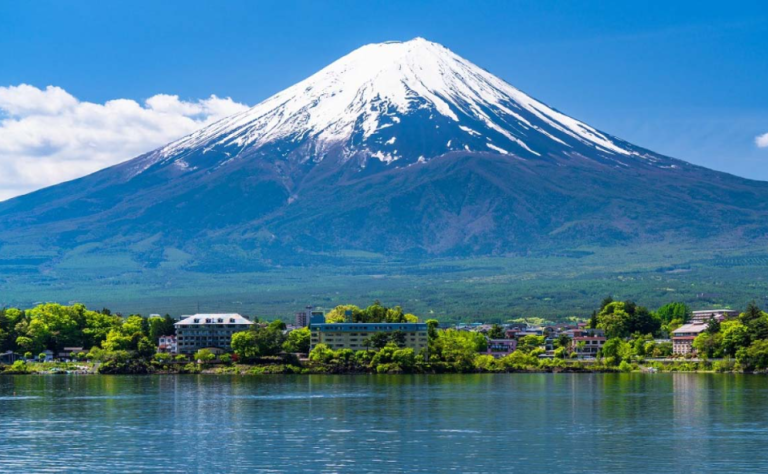 スクリーンショット 2025-01-21 114335